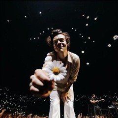 Harry Styles - as it was (gravagerz Remix)