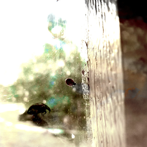 FINGERS_CUT_AND_STUFFED