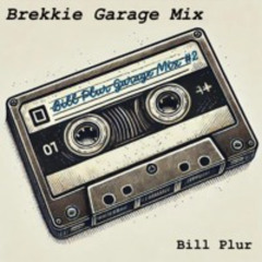 Brekkie Mix (Garage) - Shambhala Renegade Set '24