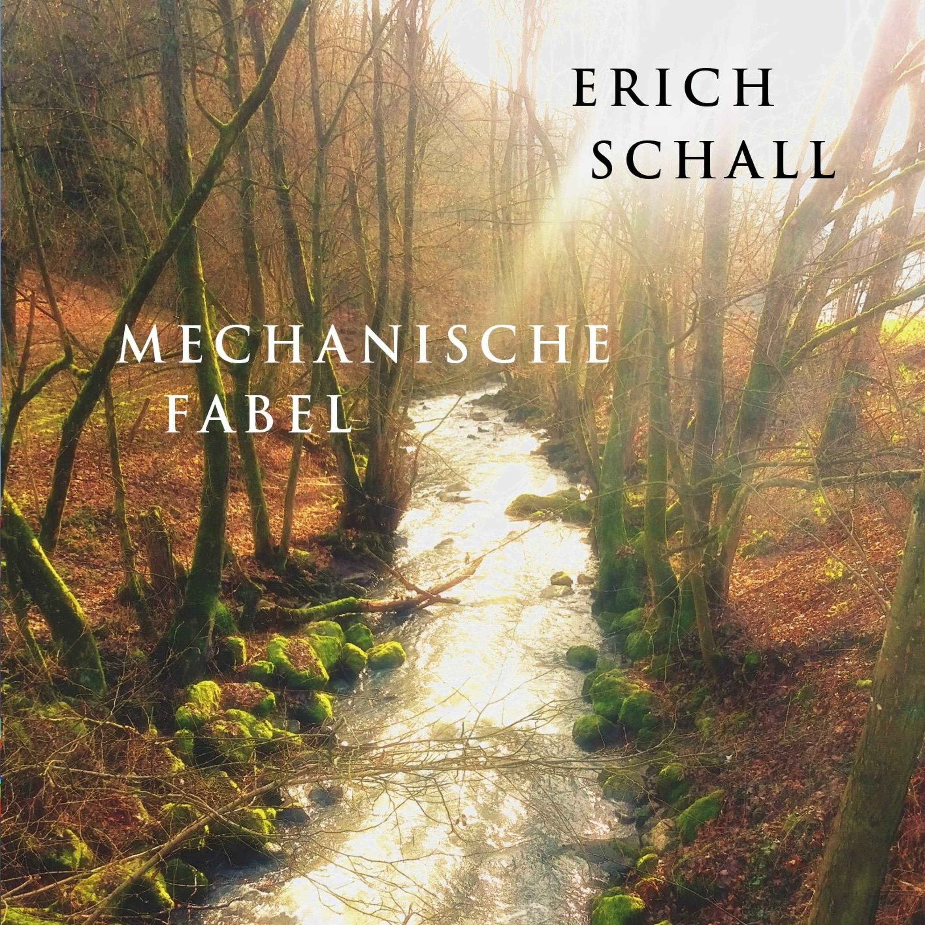 Erich Schall