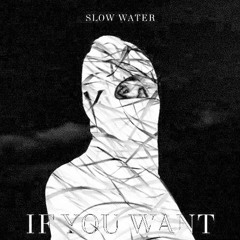Slow Water - If You Want (eee666 remix)