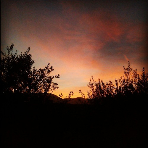 Joyful sunset - Chill relaxing - study Backing Track