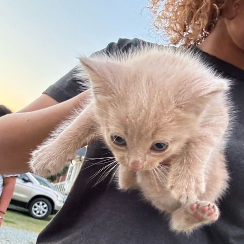 forever wasn’t forever