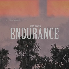 Nxme x vantaplaya - Endurance