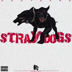 DOG TEARS - “STRAY DOGS” • Ft. SUUNGJINYOO • p. MATHIASTYNER, SLEEPYTRXPPER • 2020