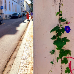 2 sides to every story 2025