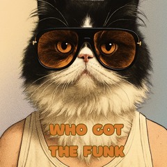 Who Got The Funk