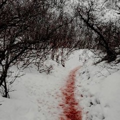 ill leave you for dead