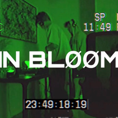 IN BLOOM VOL 1