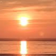 2late4thesummer