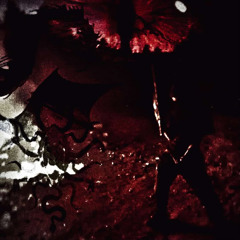 Sellasouls X Vautarkis F333D THE RED KURRENTZ#RedSeas#D4rkSumm4