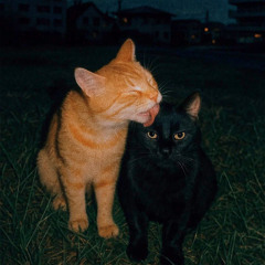 Safe Place