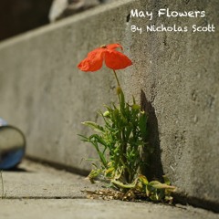 May Flowers