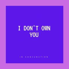 I Don't Own You