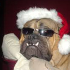 NIEUWE KINDEREN NONDEJU - LUISTERBOEK