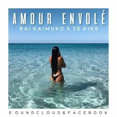 Amour Envolé - Rai Kaimuko [ Ze Kiks ] Remix