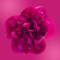 Abundance Reflection