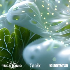 Techtonic X Bosstatus - Perception (feat. ToniK)