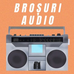 BROȘURI AUDIO | Să înțelegem patriarhatul (bell hooks)