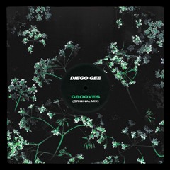 Summer Grooves Mix 2.0 | Diego Gee