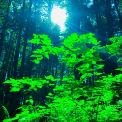 Green Stuff (Prod. Taweep)