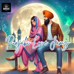 Punjabi Love Jamz - DJ Shivz