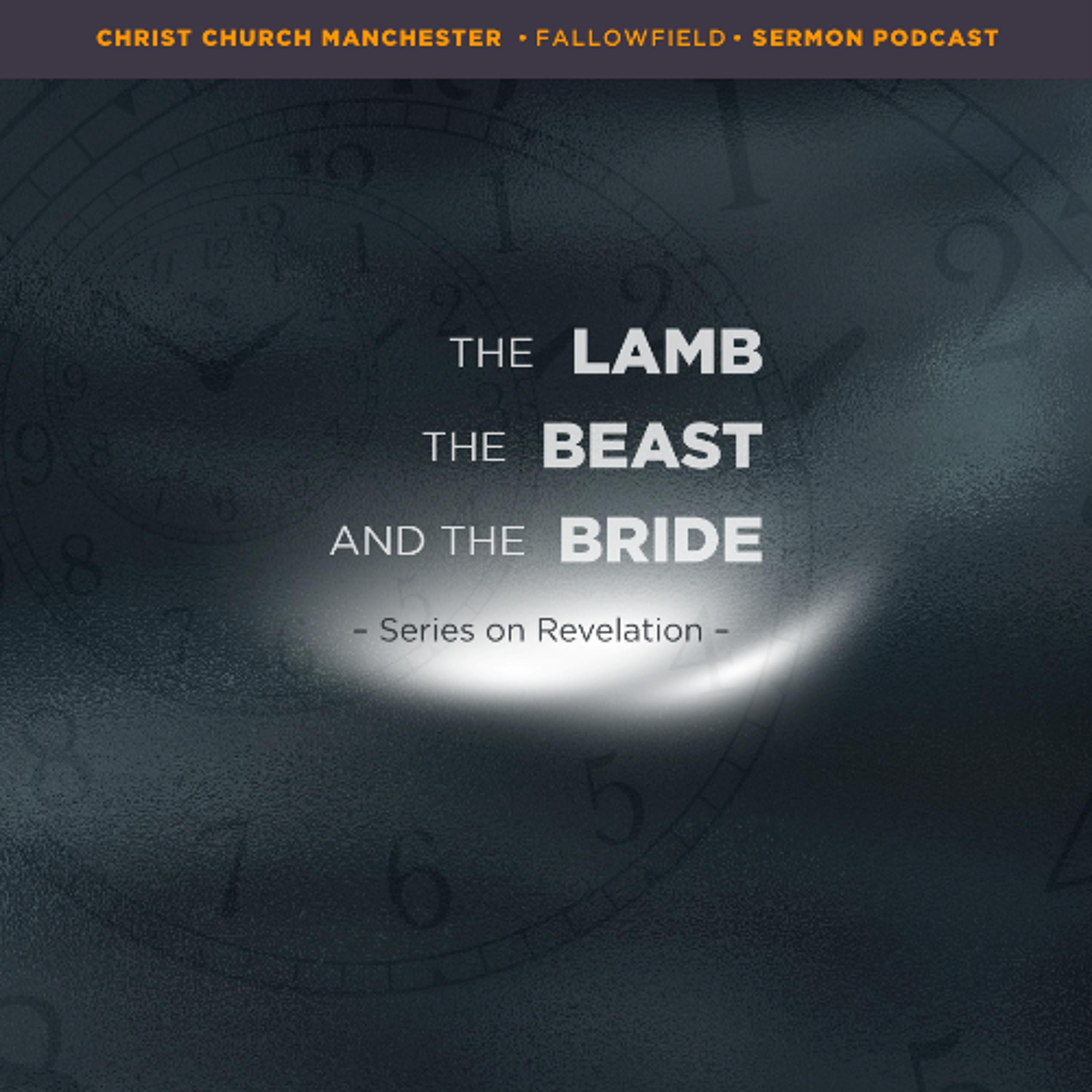 Revelation Series: 03 - The Bride (by Tom O'Toole)