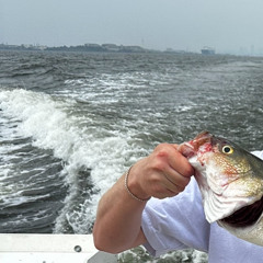 FLOUNDER