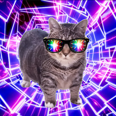 OIIA TECHO CAT