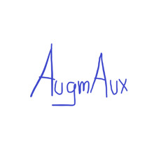 AugmAux