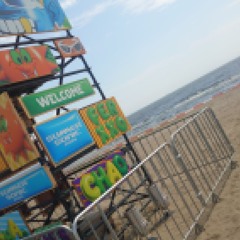 Sunlit Breeze (#GS2025)