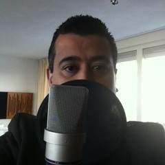 Silvio Carrano  Davide Svezza Feat. Rodge - We Are Free (StoneBridge Remix) Official Lyric Video