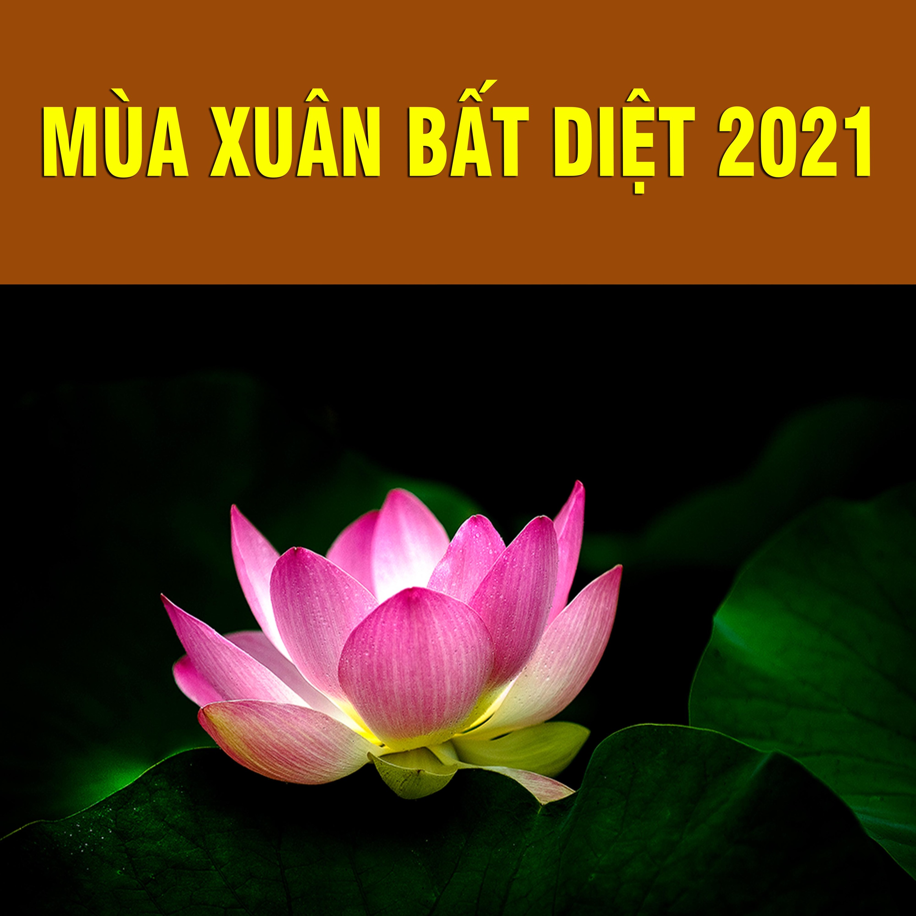 Thích Bảo Nguyên