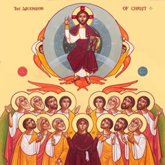 The Servant (Audio book) - Pope Shenouda