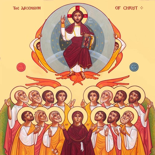 The Servant (Audio book) - Pope Shenouda