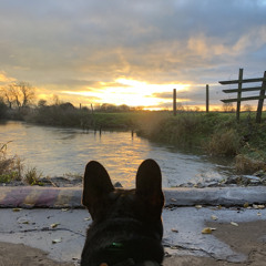 I just wana dance with you