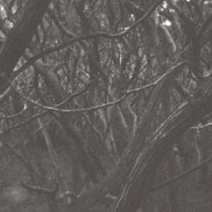 honouring the dark
