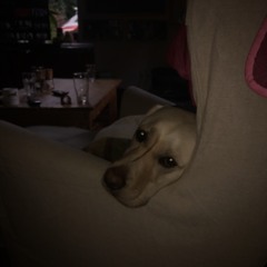 2:45 AM - Elliott Smith (cover)