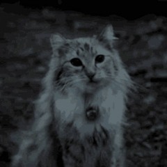 VNV Nation - Invictus (Synthwave Edit)