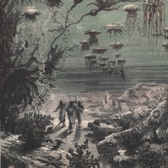 Nautilus 26922 Remix Vox