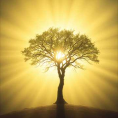 Alle Geister sind Kinder des Volkes Gottes