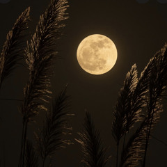 JaytheHitz ( HATË )