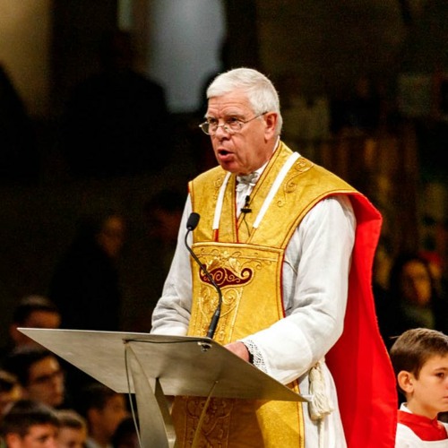 Lourdes 2023, sermon de l'abbé de Jorna le dimanche 29 octobre