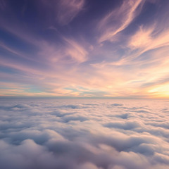 Melody of the Breeze