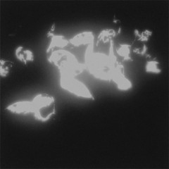 we'll never change (demo)