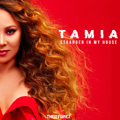 Tamia - Stranger in my house (Théo Gomez Remix)