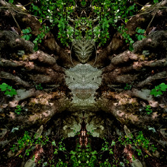 Screaming Forest Revival 29.03.2025