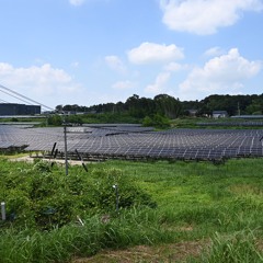 46.2 Summer Day 2 BPM 120 20250810-2