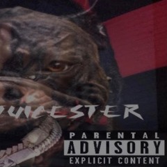 Juicester - Backbones
