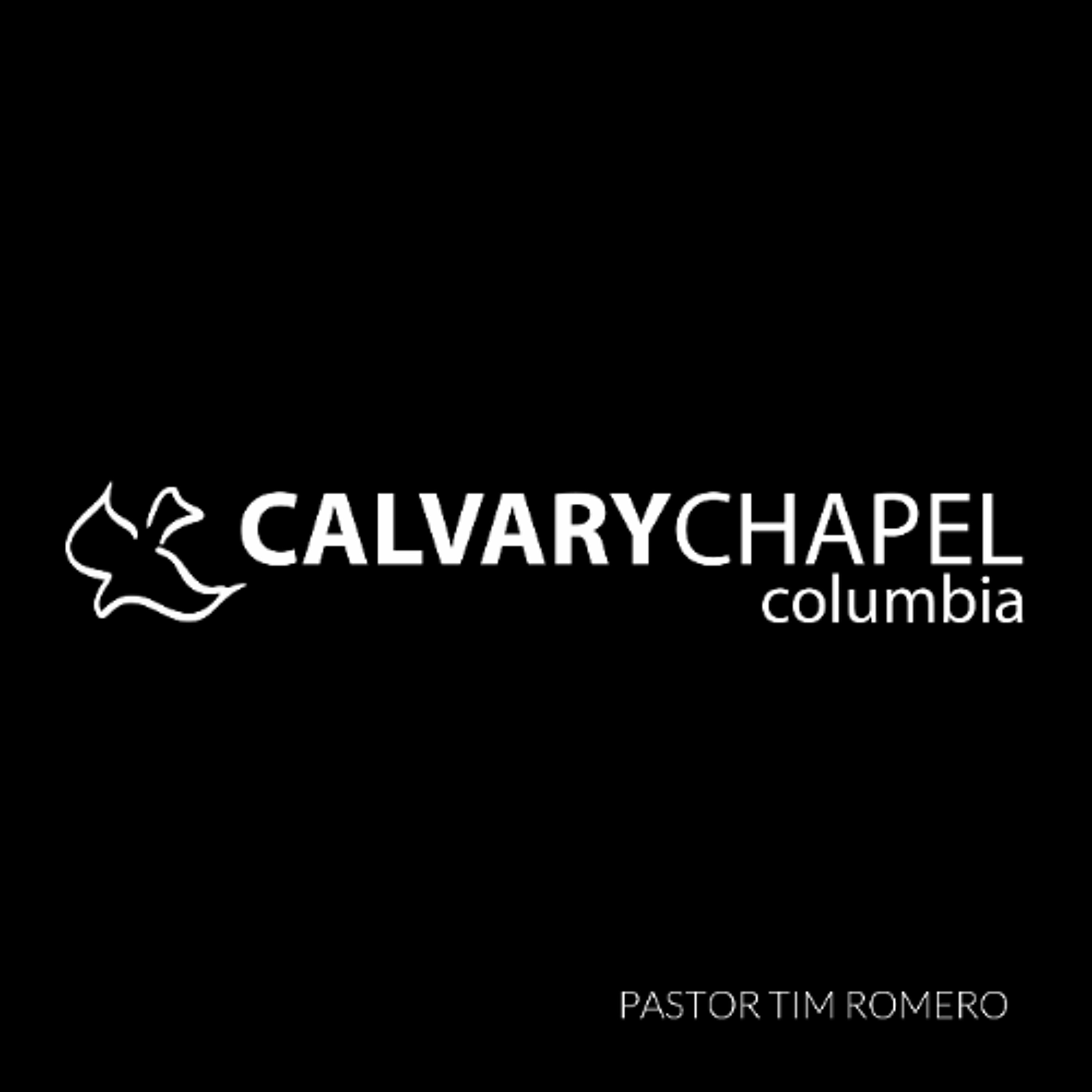 Matthew 11:20-30 Woes & Rest (Behold Your King Series)